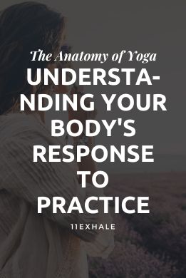 The Anatomy of Yoga: Understanding Your Body's Response to Practice