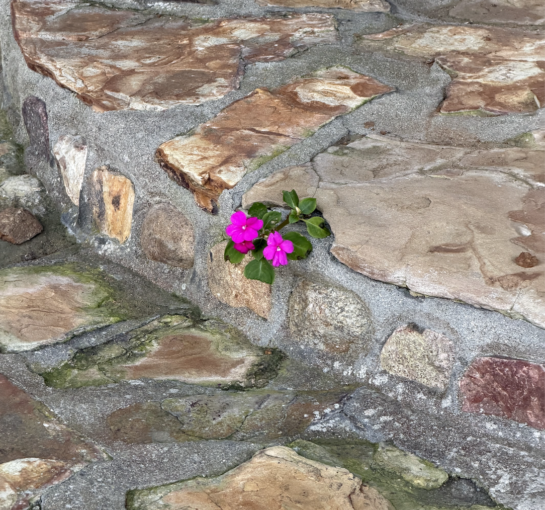 Winter Solstice Retreat